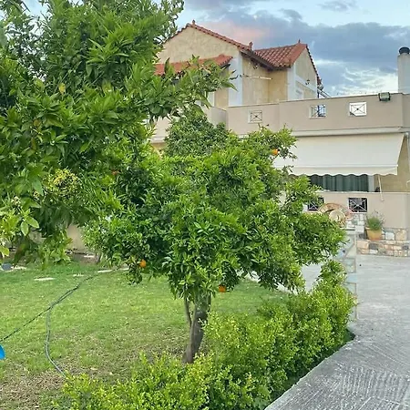 Family * Amarynthos